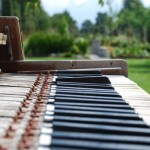 piano bien et bio